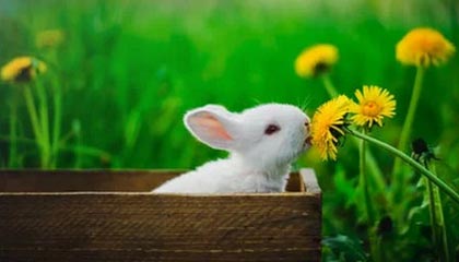 博白伴游，定制QQ：3494206190微信：act1322